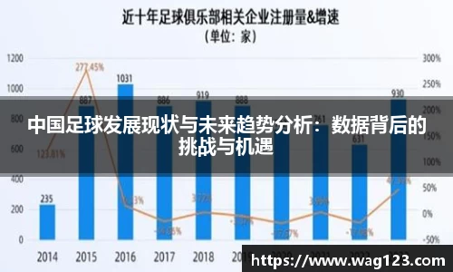 中国足球发展现状与未来趋势分析：数据背后的挑战与机遇